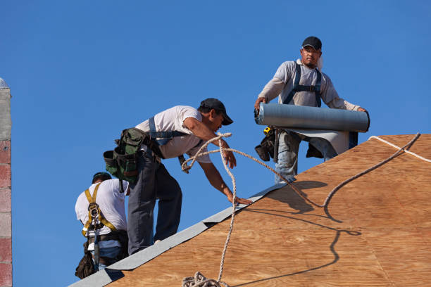 Best Storm Damage Roof Repair  in West Unity, OH
